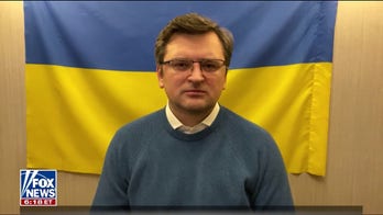 Ukraine's foreign minister says no fly-zone the 'only rational decision,' pleads with Biden to reconsider