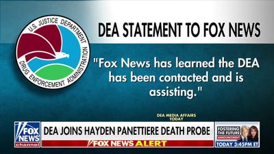 DEA joins Hayden Panettiere death probe