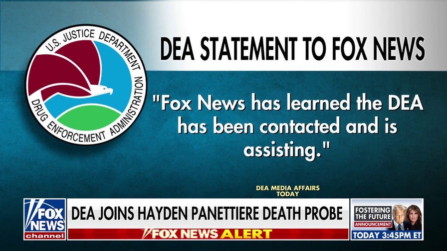 DEA joins Hayden Panettiere death probe