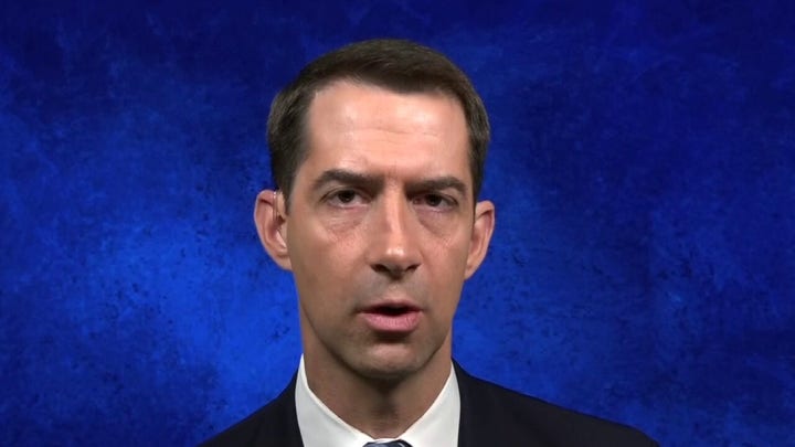 Senator Cotton's plan to make China pay for 'unleashing pandemic' on the world