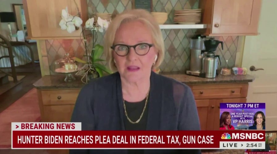 MSNBC's Claire McCaskill flips out over Republicans investigating Bidens: 'Back off!'