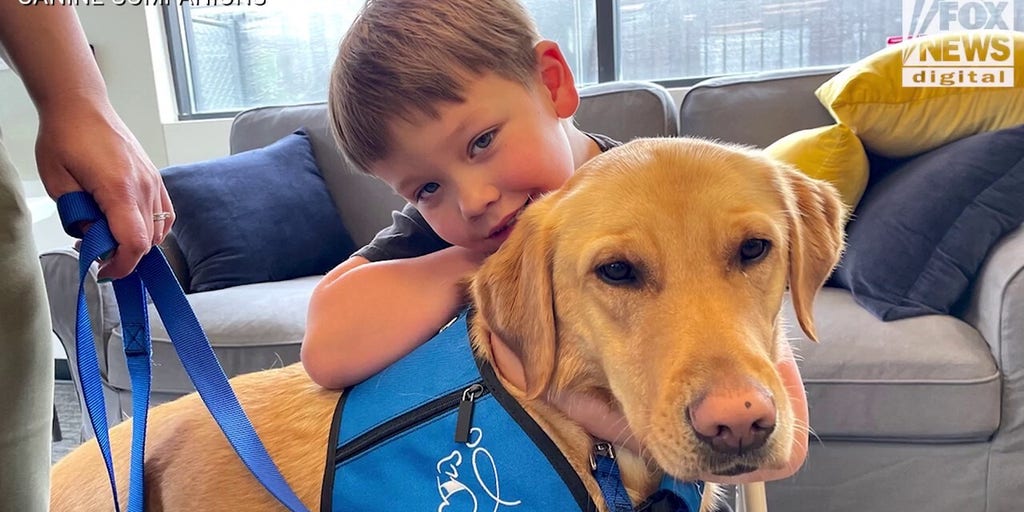 Mom says service dog has made 'huge difference' for son with autism