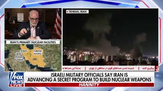 Mark Levin: These are the people rooting for Israel