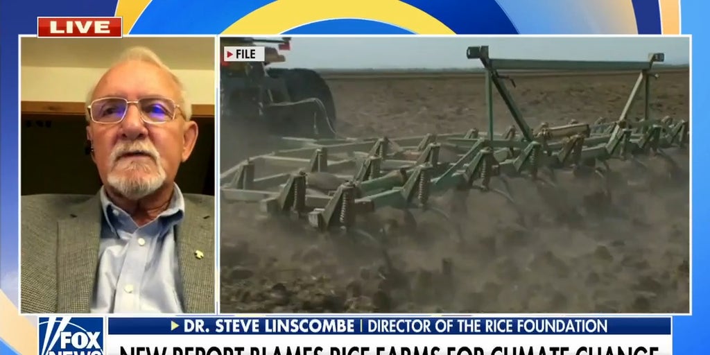 New Report Blames Rice Farms For Climate Change Fox News Video   Image 