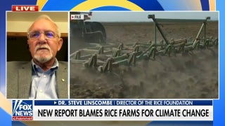 New report blames rice farms for climate change - Fox News