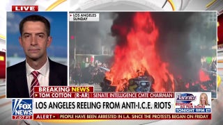 Sen. Cotton slams 'uncontrolled rioting' in LA as city erupts: 'Can't allow that'