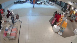 Police release video of alleged attempted abduction inside mall