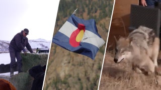 On Colorado’s Western Slope where lifelong ranchers say they’ve been thrown ‘to the wolves’ - Fox News