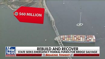 Cargo ship in Baltimore bridge collapse involved in 2016 accident