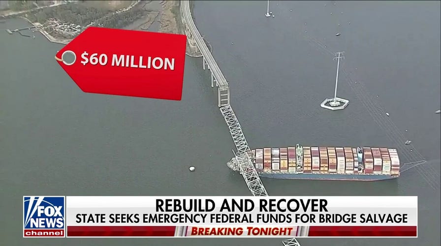 Cargo ship in Baltimore bridge collapse involved in 2016 accident