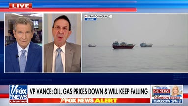Oil expert shares roadmap to recovery for global production