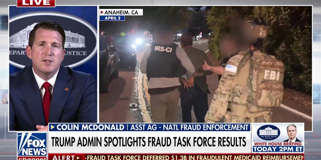 National fraud enforcement official discusses task force crackdown