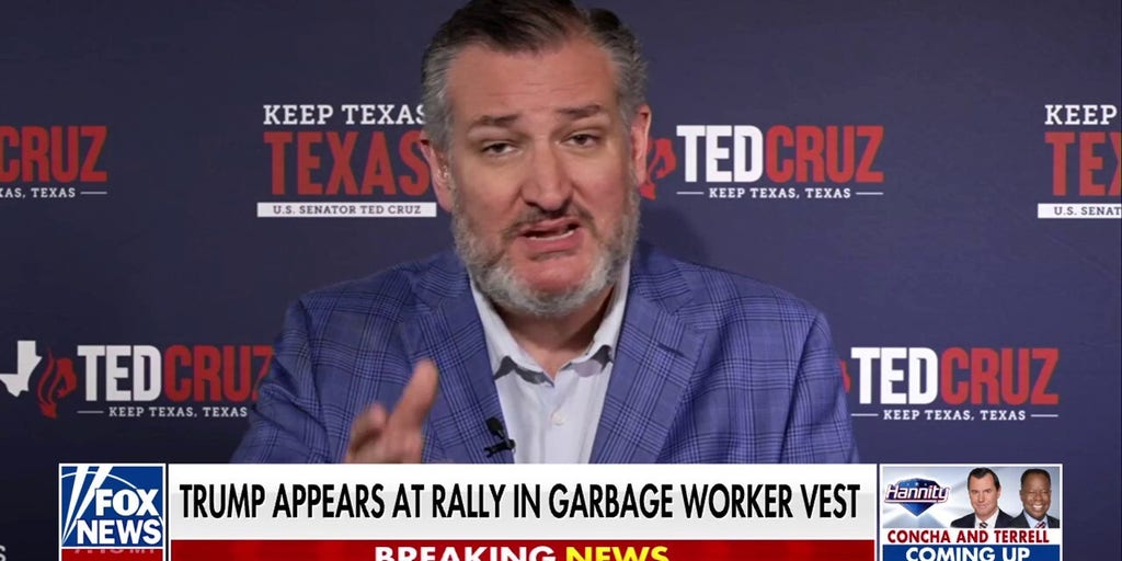 Democrats' strategy is based on ‘lying’ to us, says Sen. Ted Cruz