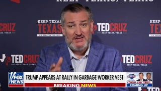 Democrats' strategy is based on ‘lying’ to us, says Sen. Ted Cruz - Fox News