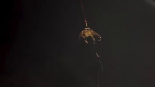 Horse rescued by chopper  aft  it slipped down   embankment - Fox News