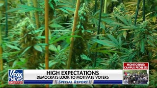 Democrats eye young voters with shift in marijuana policy - Fox News