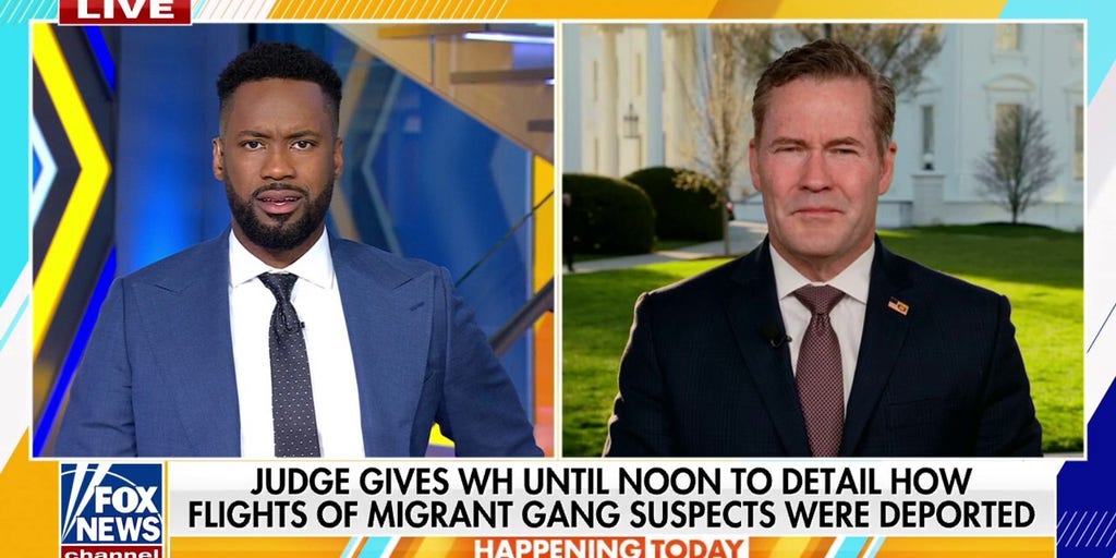 Deportation flights are 'squarely' under Trump's authority, says Michael Waltz