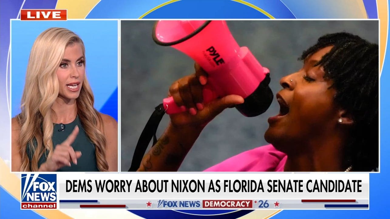 Democrats will 'rue the day' they nominated Dem socialist for House race, political strategist warns