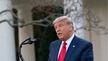 Trump fires cyber chief, blocks transition, as many Republicans say he was robbed