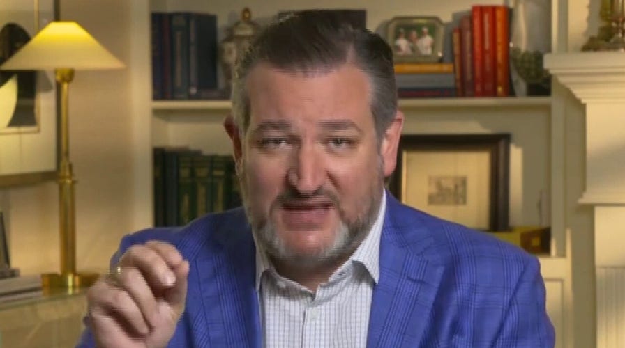 Ted Cruz: ‘Race card’ is the only argument Democrats have in DC statehood debate