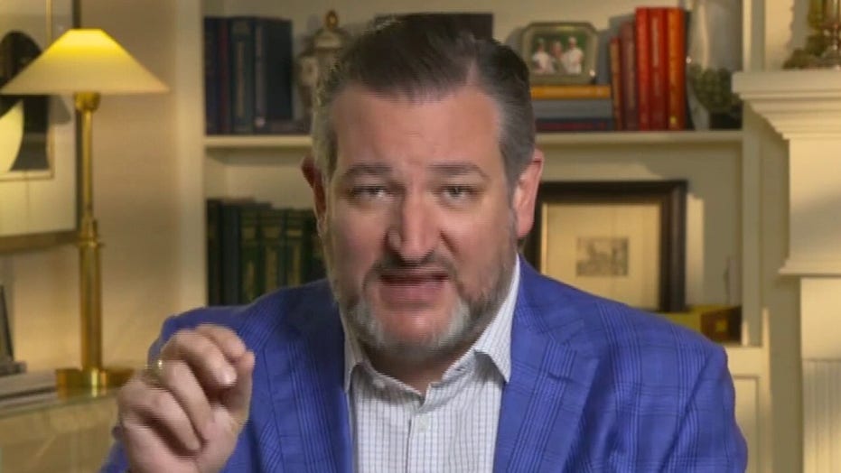 Ted Cruz on DC statehood, HR1 and court-packing: Dems' top priority is power 'forever'