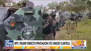 Trump targets cartels with military action: 'It's about time!'