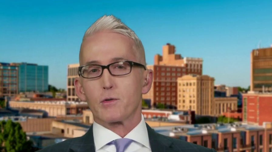 Trey Gowdy: Biden a 'career offender' on racially curious comments