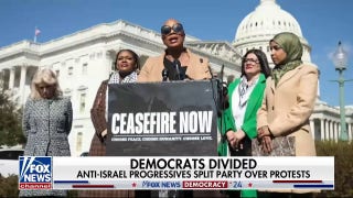 Democrats remain divided over anti-Israel protests - Fox News