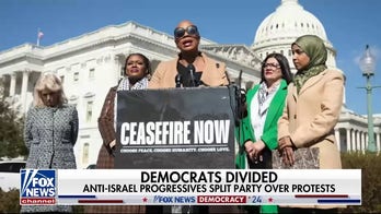 Democrats remain divided over anti-Israel protests