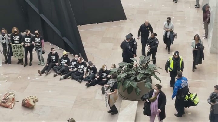 Pro-Palestinian protesters occupy Capitol Hill Senate office building