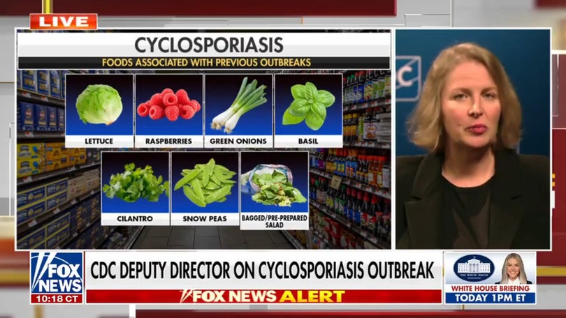 CDC official outlines severity of cyclosporiasis as cases surges across US