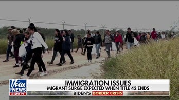 Democratic senators urge Alejandro Mayorkas to address border crisis