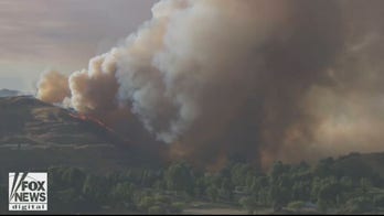 New AI technology helps predict when wildfires will occur and how to stop them