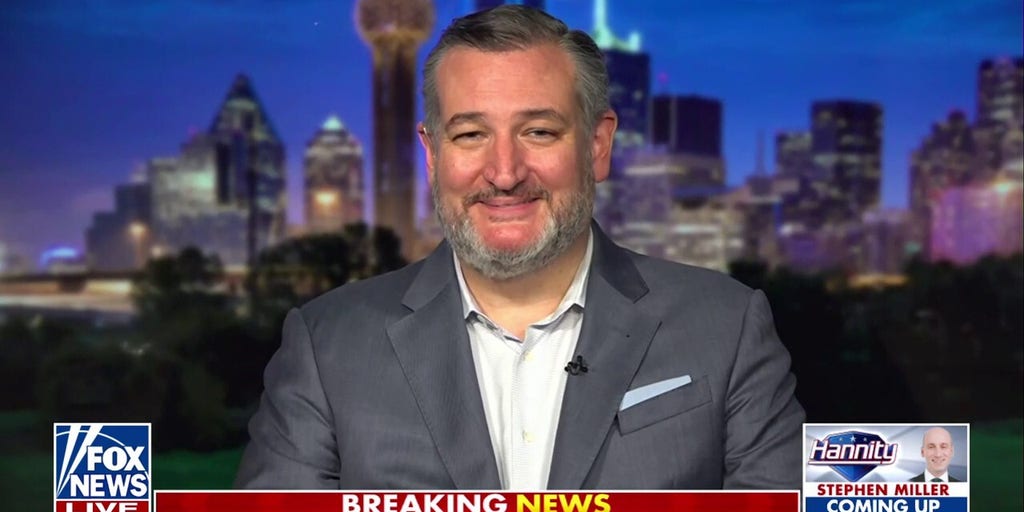 Left's reaction to Elon Musk reveals its hypocrisy, Ted Cruz says