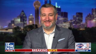 Left's reaction to Elon Musk reveals its hypocrisy, Ted Cruz says