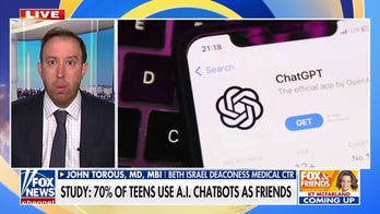 Expert warns against using AI chat bots as therapy: 'They don't understand'