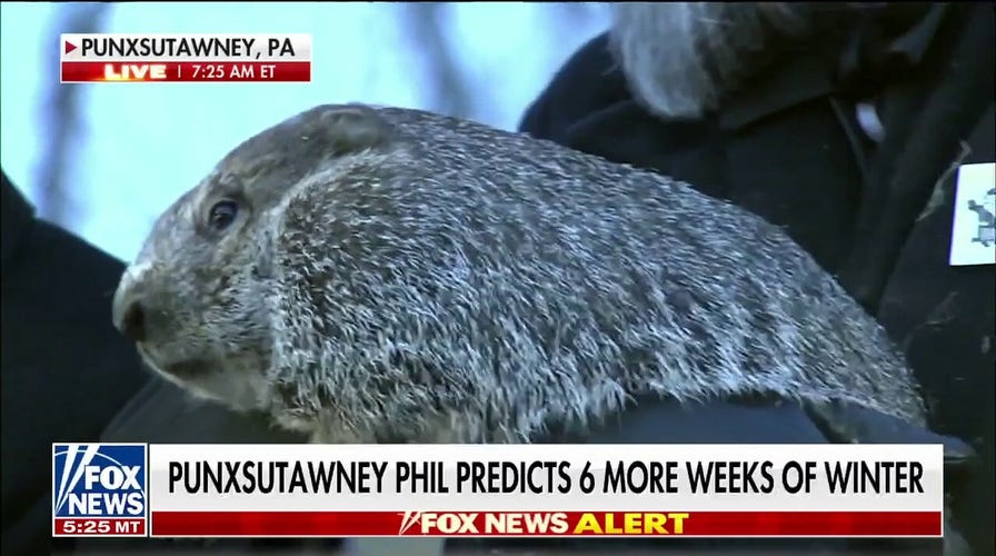 Punxsutawney Phil predicts six more weeks of winter.