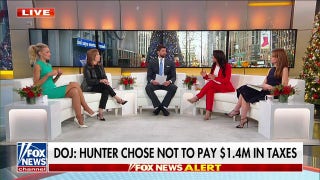 Hunter Biden indicted on new tax charges: Spent money on 'everything but his taxes' - Fox News