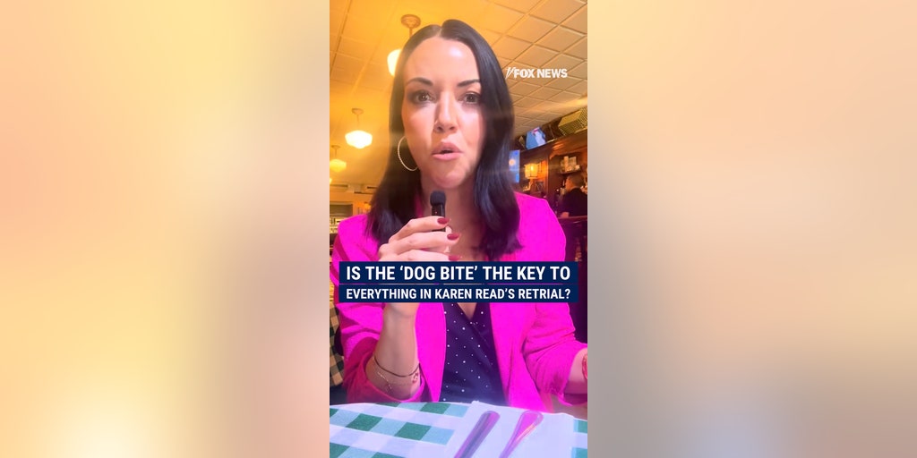 Is the 'dog bite' the key to everything in Karen Read's retrial?