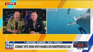 'Dive for Freedom' takes veterans to swim with sharks - Fox News