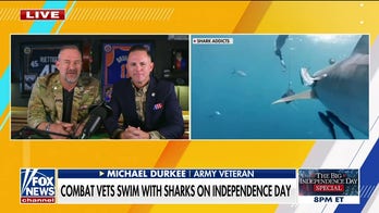 'Dive for Freedom' takes veterans to swim with sharks