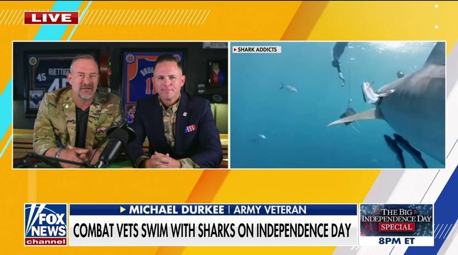 'Dive for Freedom' takes veterans to swim with sharks