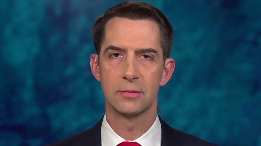 Sen. Cotton: Russian sanctions not 'punishing' enough, could embolden Putin