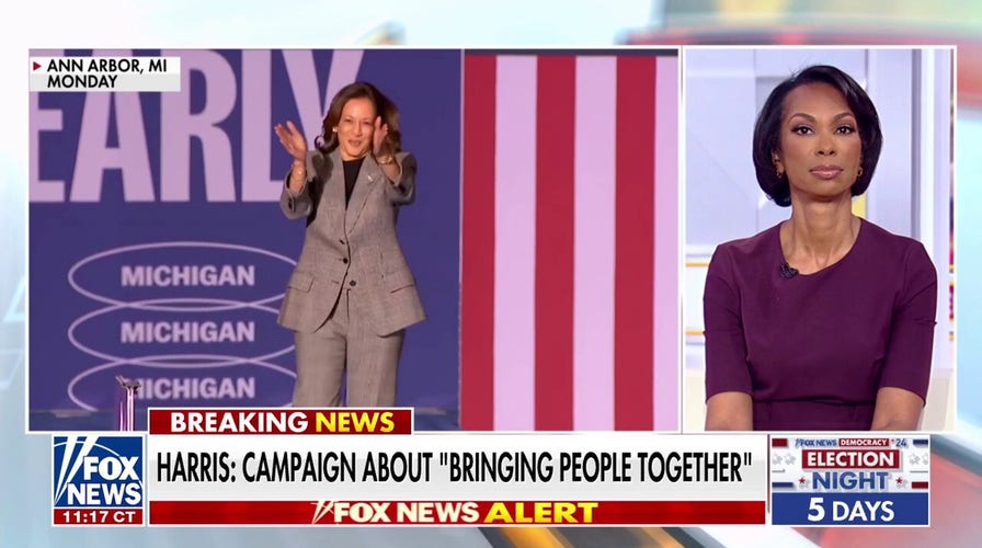 Kamala Harris criticized for 'shallow' calls for unity