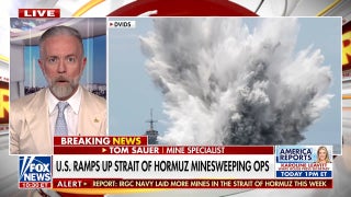 Iran reportedly dropped more mines in the Strait of Hormuz