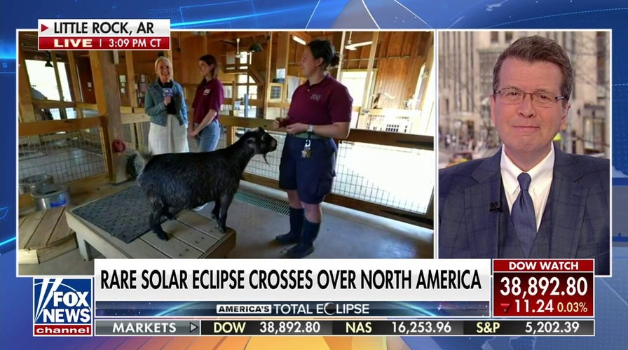 How the solar eclipse affected animals