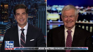 This is a 'very different Democratic Party than we've ever seen before,' says Newt Gingrich