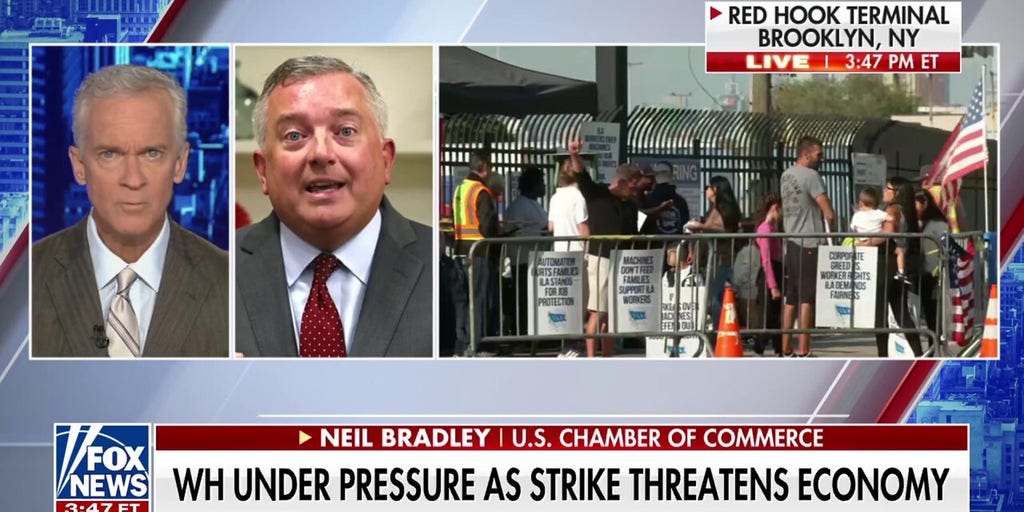 image Port strike has 'profound consequences' for businesses across the nation: Neil Bradley