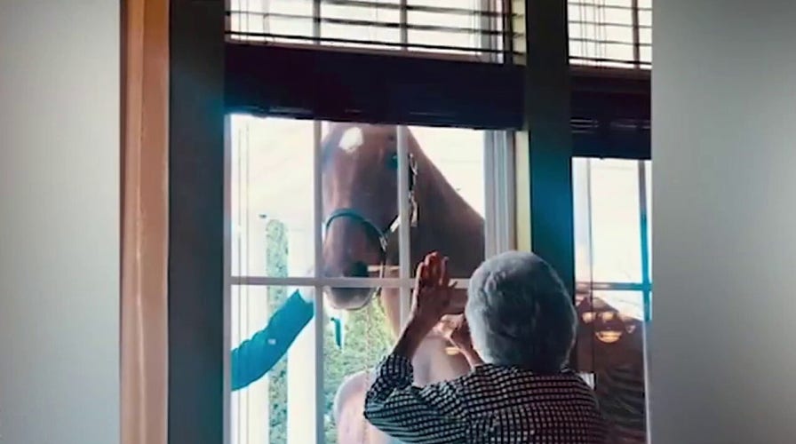 Horses lift spirits at Kentucky senior living center amid coronavirus outbreak