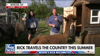 Rick Reichmuth makes friends with an alpaca pack in the Catskills - Fox News